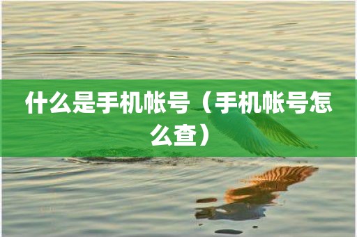 什么是手机帐号（手机帐号怎么查）