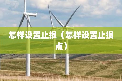 怎样设置止损（怎样设置止损点）