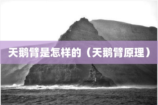 天鹅臂是怎样的（天鹅臂原理）