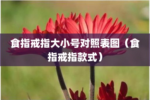 食指戒指大小号对照表图（食指戒指款式）