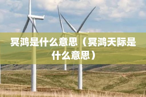 冥鸿是什么意思（冥鸿天际是什么意思）