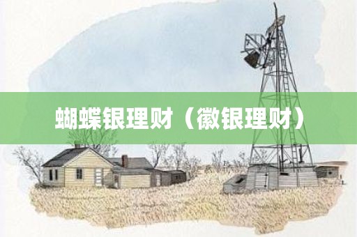 蝴蝶银理财（徽银理财）