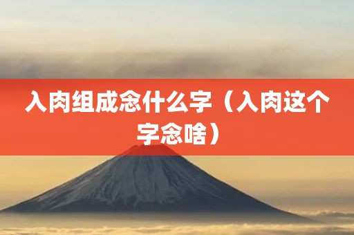 入肉组成念什么字（入肉这个字念啥）