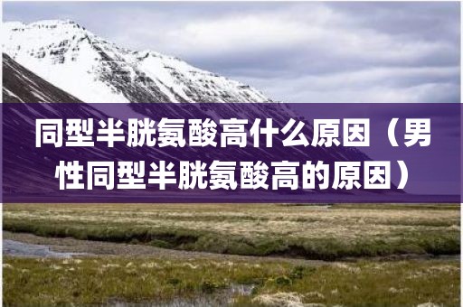 同型半胱氨酸高什么原因（男性同型半胱氨酸高的原因）
