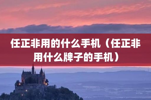 任正非用的什么手机（任正非用什么牌子的手机）