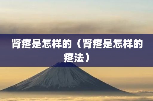 肾疼是怎样的（肾疼是怎样的疼法）