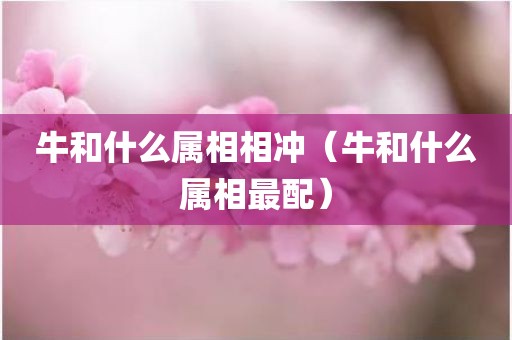牛和什么属相相冲（牛和什么属相最配）
