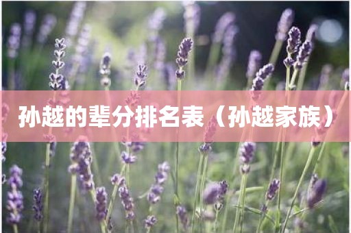 孙越的辈分排名表（孙越家族）
