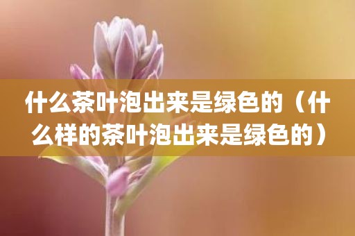 什么茶叶泡出来是绿色的(什么样的茶叶泡出来是绿色的)