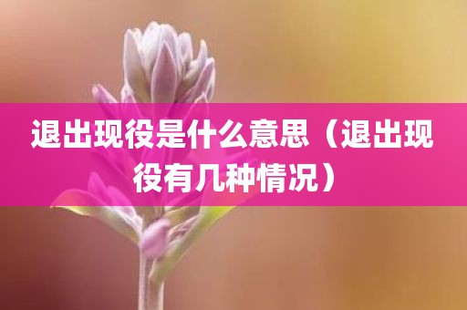 退出现役是什么意思（退出现役有几种情况）