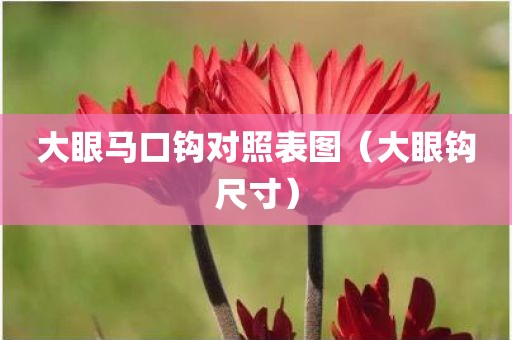 大眼马口钩对照表图（大眼钩尺寸）