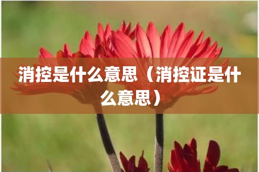 消控是什么意思（消控证是什么意思）