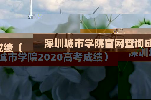 深圳城市学院官网查询成绩（深圳城市学院2020高考成绩）