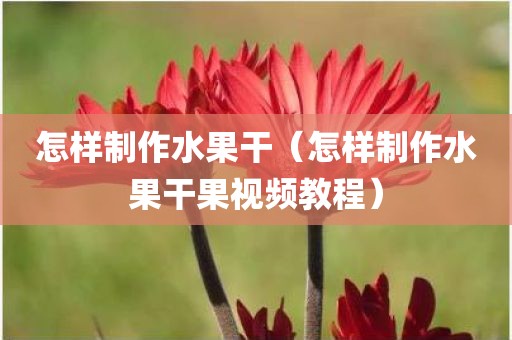 怎样制作水果干（怎样制作水果干果视频教程）