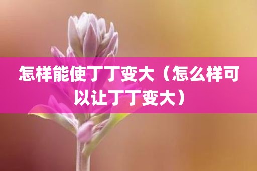 怎样能使丁丁变大（怎么样可以让丁丁变大）