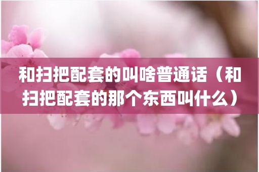 和扫把配套的叫啥普通话（和扫把配套的那个东西叫什么）