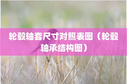 轮毂轴套尺寸对照表图（轮毂轴承结构图）
