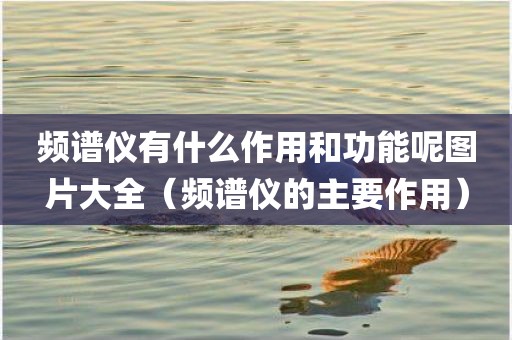 频谱仪有什么作用和功能呢图片大全（频谱仪的主要作用）