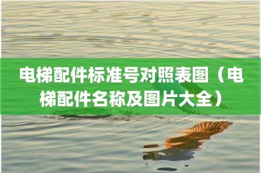 电梯配件标准号对照表图（电梯配件名称及图片大全）