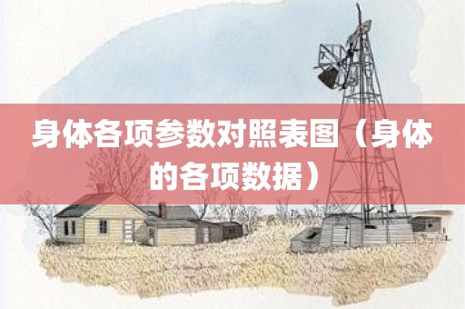 身体各项参数对照表图（身体的各项数据）