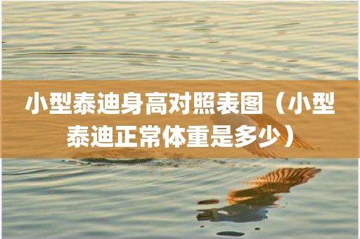 小型泰迪身高对照表图(小型泰迪正常体重是多少) 小型泰迪身高对照表图(小型泰迪正常体重是多少)