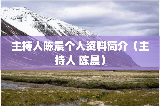 主持人陈晨个人资料简介（主持人 陈晨）