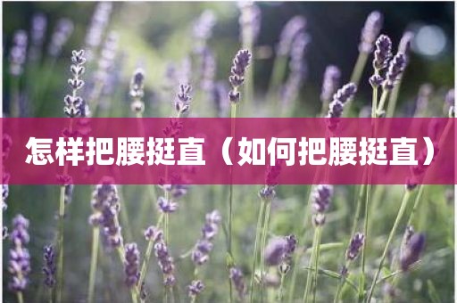 怎样把腰挺直（如何把腰挺直）