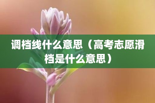 调档线什么意思（高考志愿滑档是什么意思）