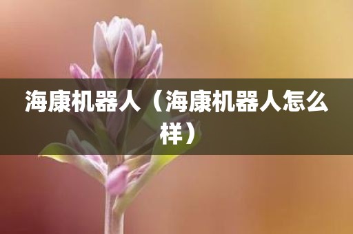 海康机器人（海康机器人怎么样）