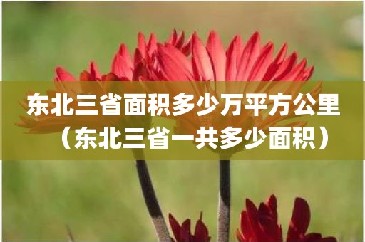 东北三省面积多少万平方公里（东北三省一共多少面积）