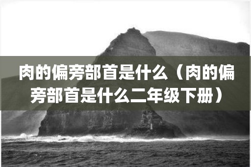 肉的偏旁部首是什么（肉的偏旁部首是什么二年级下册）