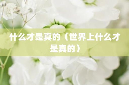 什么才是真的（世界上什么才是真的）