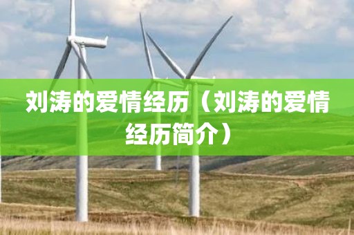 刘涛的爱情经历（刘涛的爱情经历简介）