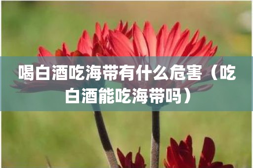喝白酒吃海带有什么危害（吃白酒能吃海带吗）