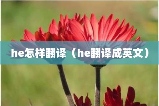 he怎样翻译（he翻译成英文）