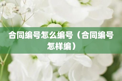 合同编号怎么编号（合同编号怎样编）