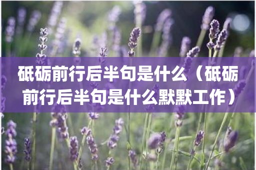 砥砺前行后半句是什么（砥砺前行后半句是什么默默工作）