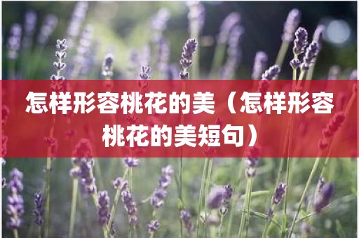 怎样形容桃花的美（怎样形容桃花的美短句）