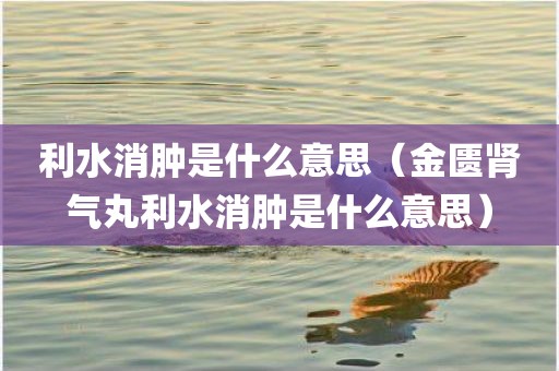 利水消肿是什么意思（金匮肾气丸利水消肿是什么意思）