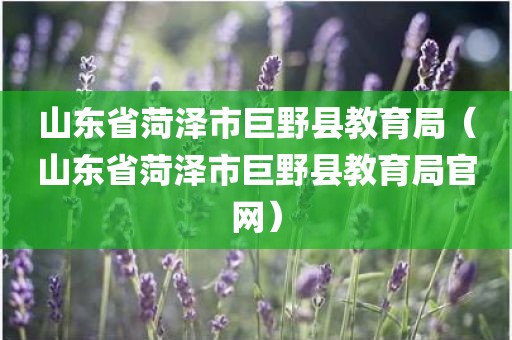 山东省菏泽市巨野县教育局(山东省菏泽市巨野县教育局官网) 山东省菏泽市巨野县教育局(山东省菏泽市巨野县教育局官网)