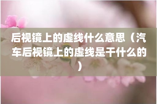 后视镜上的虚线什么意思（汽车后视镜上的虚线是干什么的）