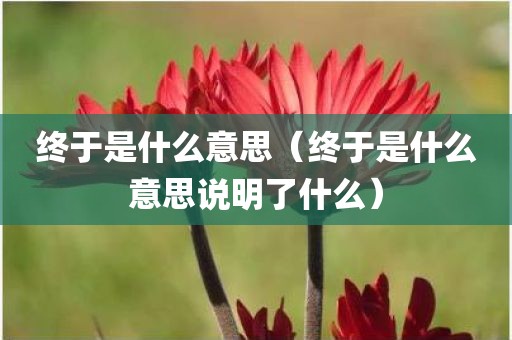 终于是什么意思（终于是什么意思说明了什么）