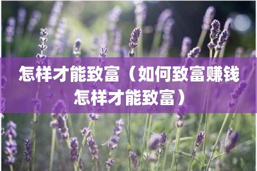 怎样才能致富(如何致富赚钱怎样才能致富) 怎样才能致富(如何致富赚钱怎样才能致富)