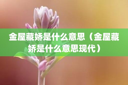 金屋藏娇是什么意思（金屋藏娇是什么意思现代）