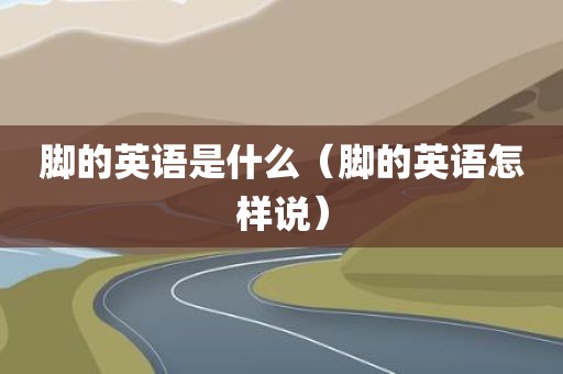 脚的英语是什么（脚的英语怎样说）