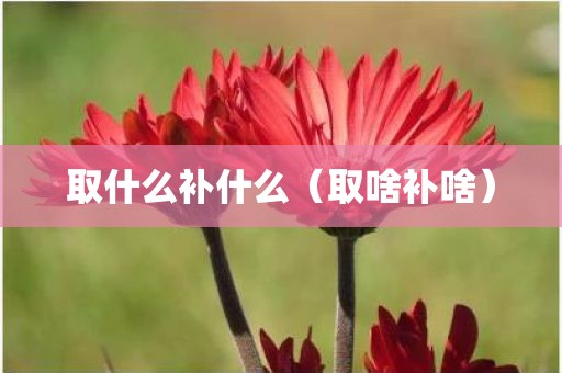 取什么补什么（取啥补啥）