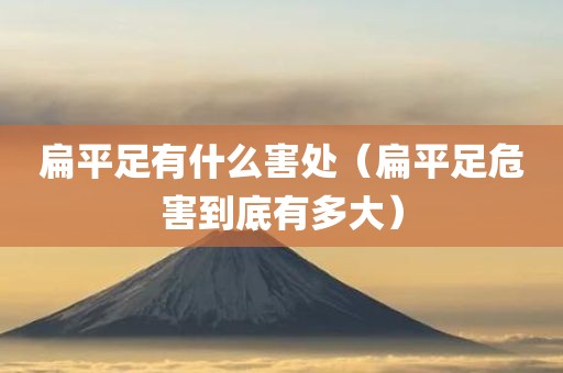 扁平足有什么害处（扁平足危害到底有多大）