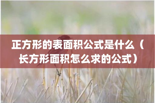 正方形的表面积公式是什么（长方形面积怎么求的公式）