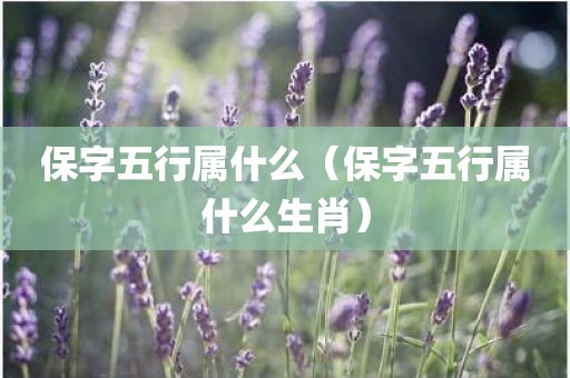 保字五行属什么（保字五行属什么生肖）