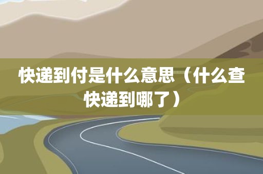 快递到付是什么意思(什么查快递到哪了)
